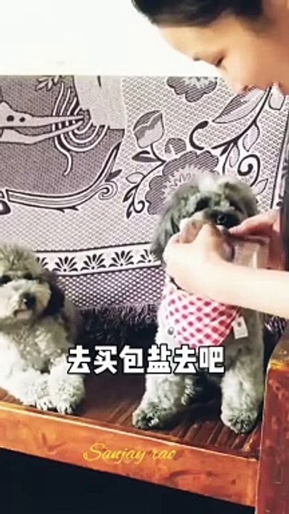 comedy reels video shortsvideo Dailymotion popular video  popular Facebook fact viral facebookreels (1)