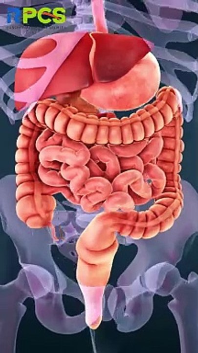 5 Healthy Tips & Tricks for a Happier You | Simple Wellness Hacks #shorts