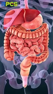 5 Healthy Tips & Tricks for a Happier You | Simple Wellness Hacks #shorts