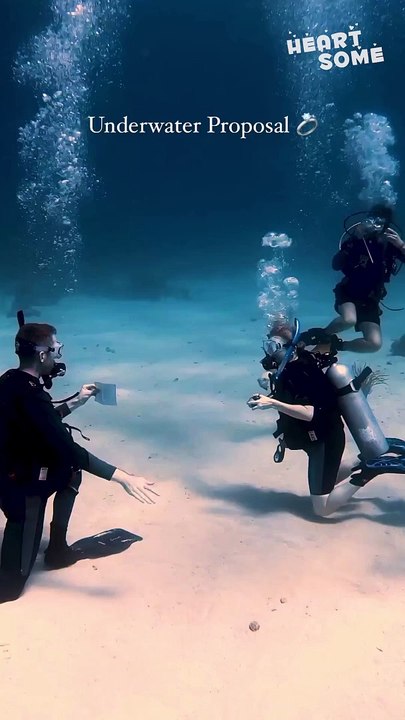 Unforgettable Underwater Proposal Sets New Standard