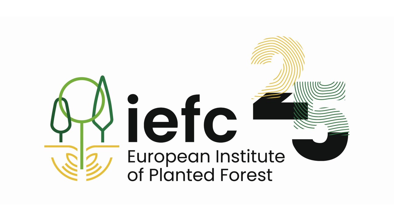 IEFC Annual Meeting & 25th Anniversary Teaser