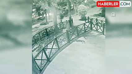 Esenler'de Pitbull Cinsi Köpek Kediyi Öldürdü