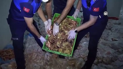 Şanlıurfa'da etiketsiz 10 ton tavuk ele geçirildi - Tigris Haber