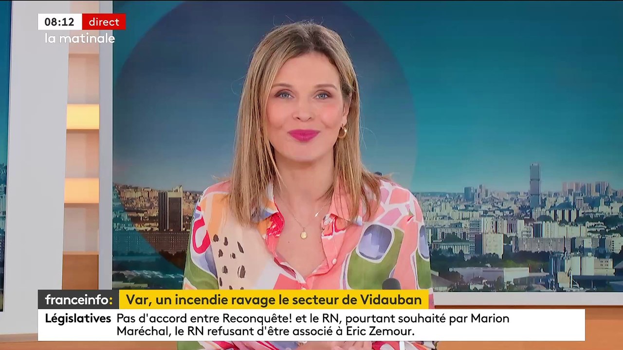 Premier gros incendie de l'année dans le sud de la France: Un feu de forêt dans le massif varois des Maures, attisé par un vent violent, a brûlé 600 hectares - VIDEO