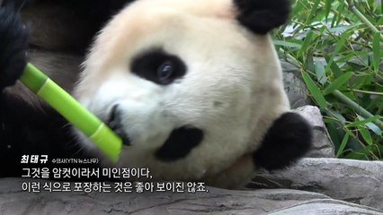 [뉴스ON] 수의사 "푸바오, 먹이 먹다 두리번...안정적으로 보이지 않아" / YTN
