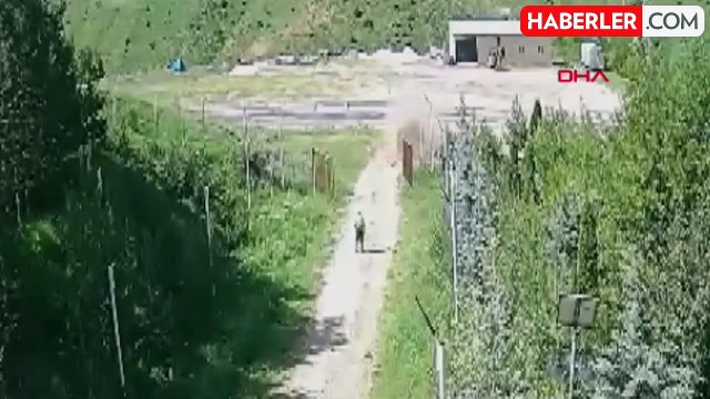 Sivas'ta hafif ticari araç şarampole devrildi: 1 ölü, 5 yaralı