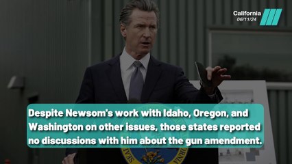 No State Support for 28th Amendment on Gun Rights