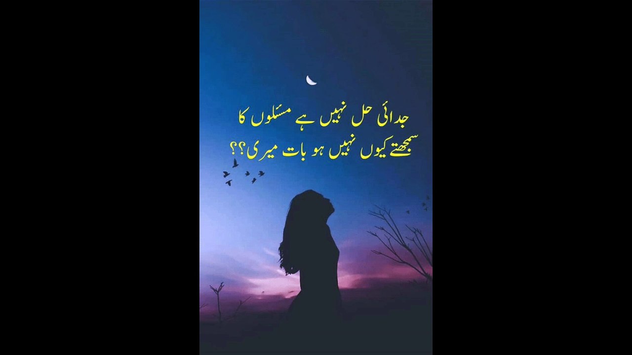 My Video5