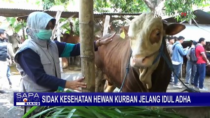 DKPP Kota Kediri Gelar Sidak Hewan Kurban, Hasilnya Semua Sapi dan Kambing Layak Dijual