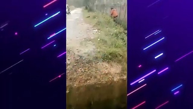 Warga Panik, KKB Papua Tembak Mati Sopir Angkot di Paniai