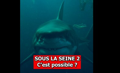 Sous la Seine 2 : une suite à Londres ou à New York ?
