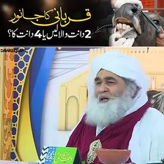 Qurbani ki Ahmed muat part 2