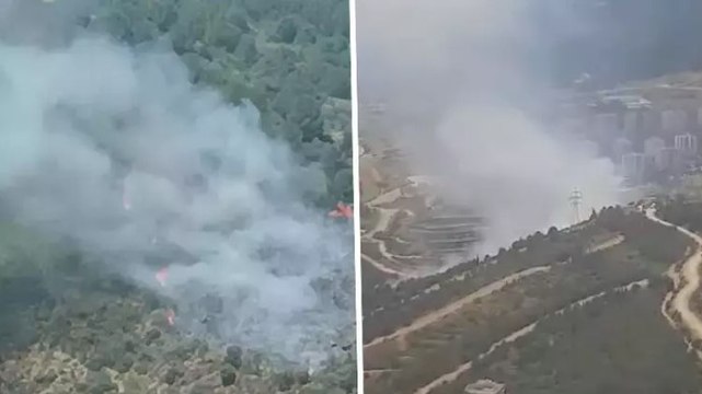İzmir’in Narlıdere ilçesinde orman yangını