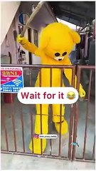 Teddy fight with kids funny