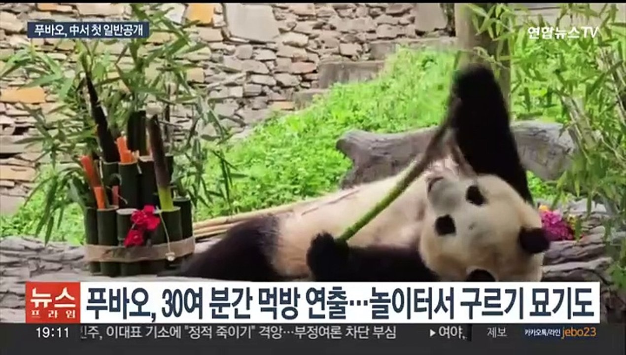[이슈5] 중국 간 지 두 달여 만에 공개된 푸바오…'대나무 먹방' 선보여 外