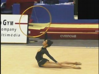 Montage Coupes Nationales Lyon 2008