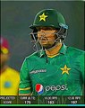 Haider ali  classic batting shorts cricket