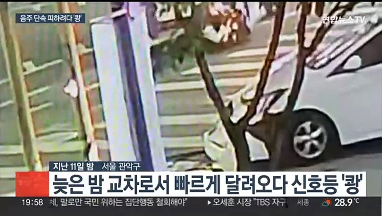 음주 단속 피하려다 신호등 '쾅'…30대 남성 입건