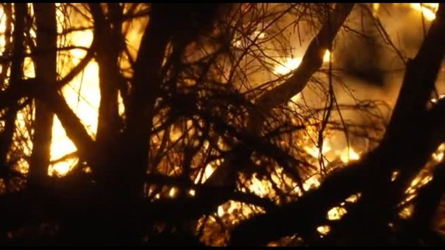 Primo grande incendio di stagione in Francia: bruciati 600 ettari