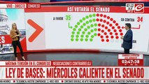 Máxima tensión por la Ley de Bases: ¿cómo se espera que vote el Senado?
