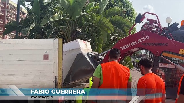SPIAGGIA RINGO LIBERATA DAI RIFIUTI