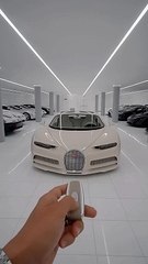 Lamborghini, Bugatti, Audi, Mercedes, which one is your favorite,