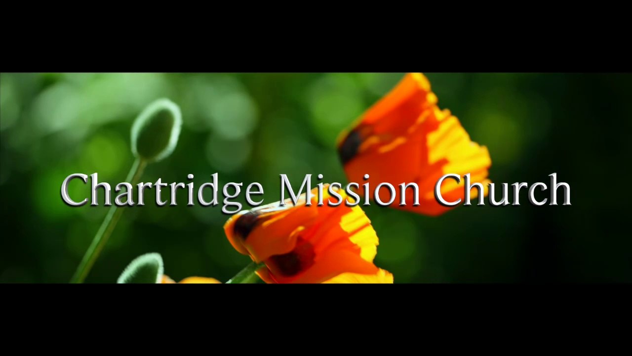 Mercy Ships - The Impossible Dream