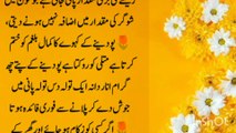 Beautiful Quotes Of Life | Heart Touching Words | Best Islamic Short Video | Golden Words In Urdu
