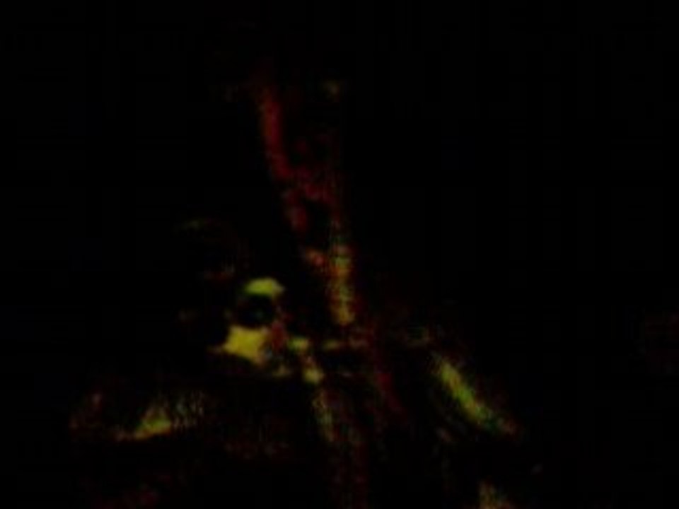 maison hantée à disneyland paris