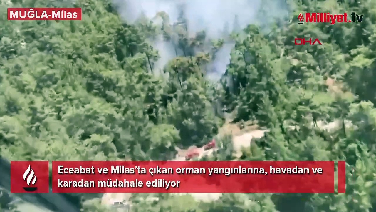 Eceabat ve Milas'ta ormanlık alanda yangın! Ekipler sevk edildi