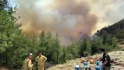 Yangına havadan müdahale edildi