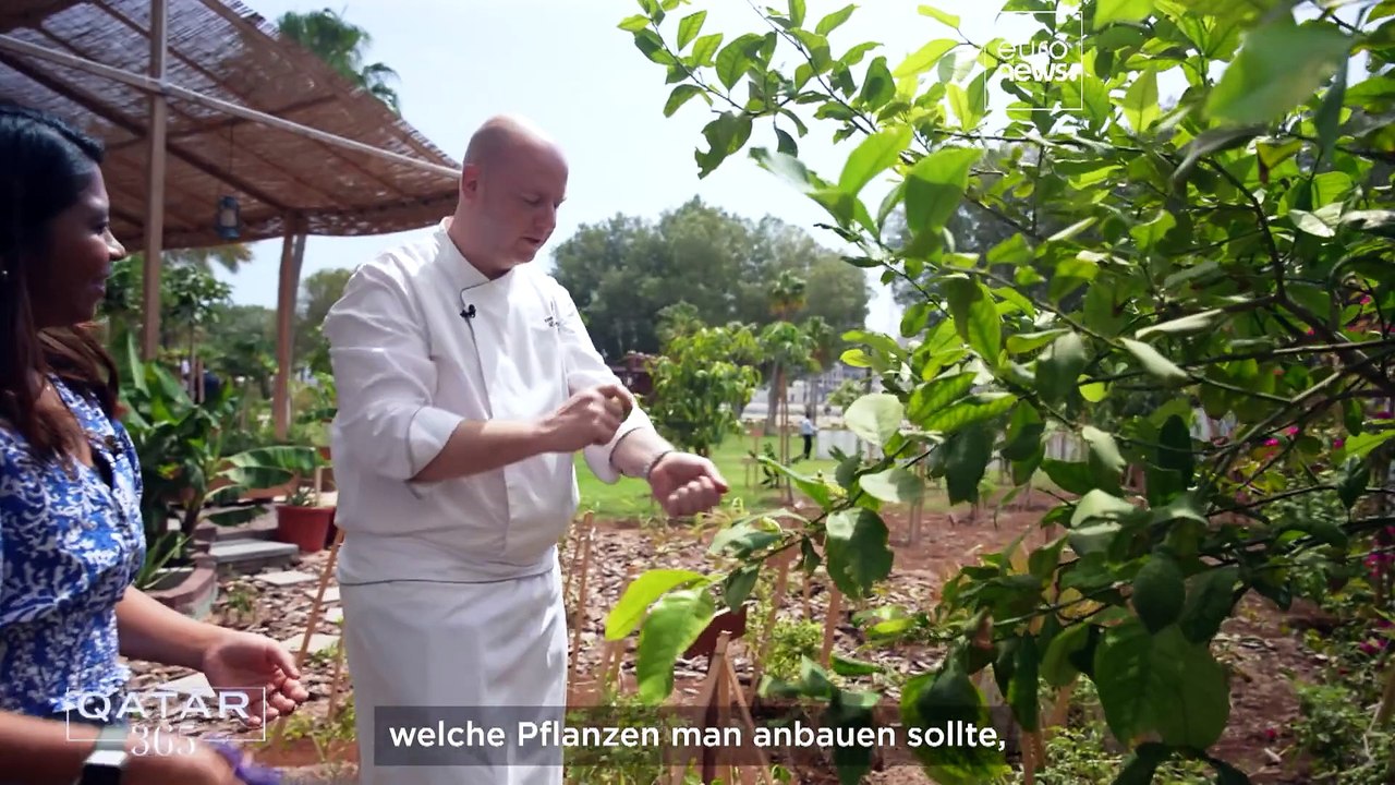Farm-to-Table-Initiativen florieren in Katar