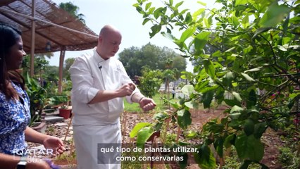 Las iniciativas "de la granja a la mesa" florecen en Catar