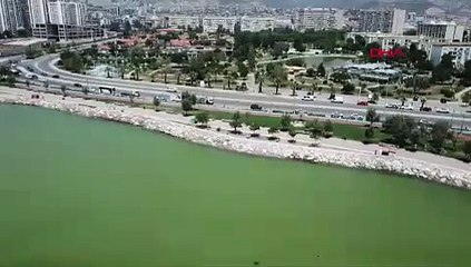 İzmir'de denizin rengi değişti