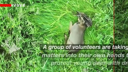 Swiss Farmers Use Drones To Help Protect Young Deer
