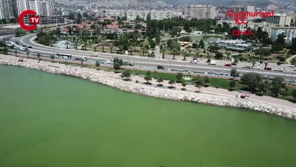 İzmir'de denizin rengi sarıya döndü