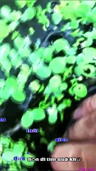 KaraOke - 2 KỶ NIỆM 1 CHUYẾN ĐI (Big Ear Marble)_ngắt lời