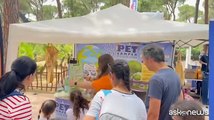 Si chiude il Pet Camper Tour, contro l'abbandono degli animali