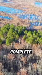 If I paid you $10000 everyday you lived in a forest with a stranger.