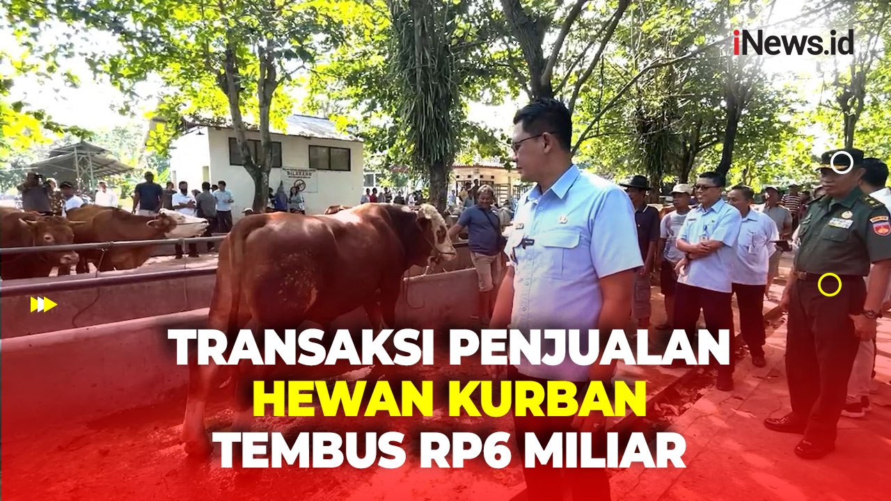 Harga Hewan Kurban Naik, Transaksi Penjualan di Pasar Hewan Ambarketawang Sleman Tembus Rp6 Miliar