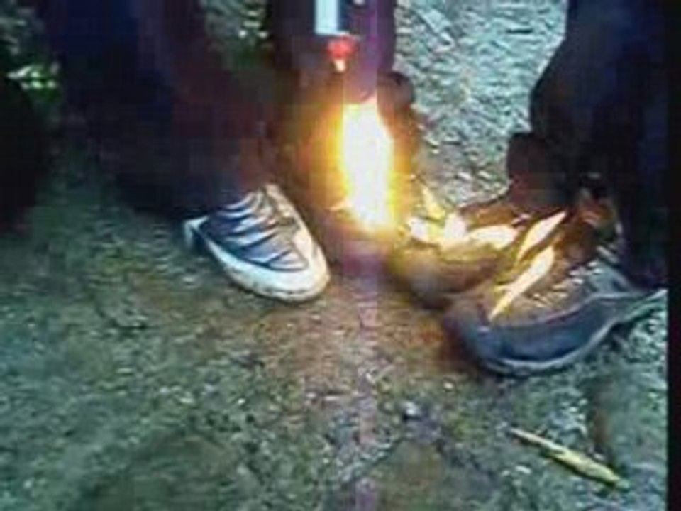 Pies piromania