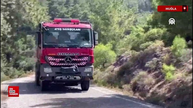 Muğla'nın Milas ilçesinde orman yangını çıktı