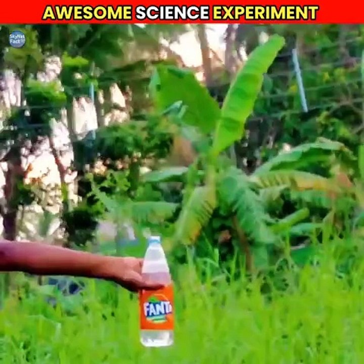 Awesome_Science_Experiment____#shorts_#experiment(720p)