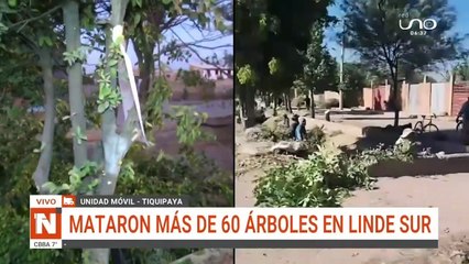 “¡No lo haga!”, gritaba una mujer que grabó el ‘ecocidio’ de más de 70 árboles en Tiquipaya