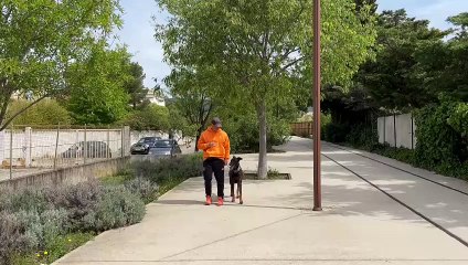 Educateur canin La Ciotat