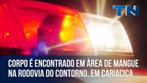 Corpo é encontrado em área de mangue na Rodovia do Contorno, em Cariacica