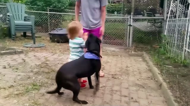 Le grand bêtisier des animaux - 13 juin