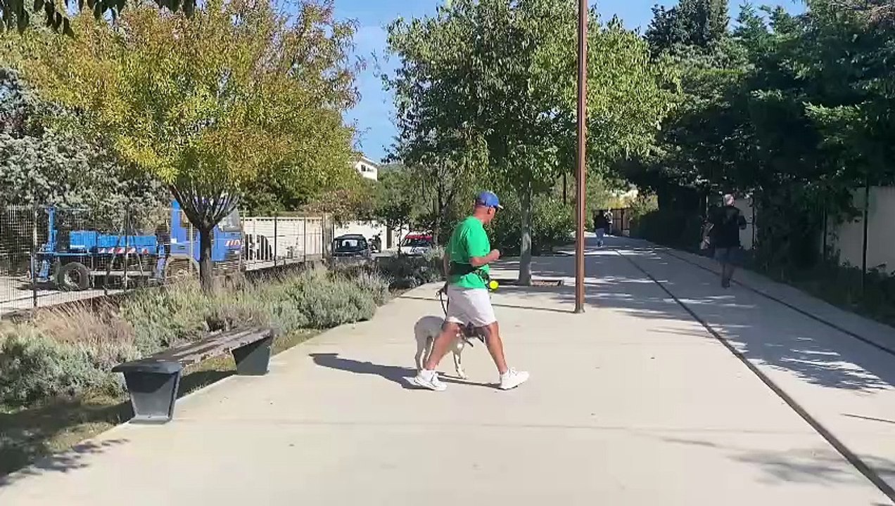 Educateur canin La Ciotat toutoucool13