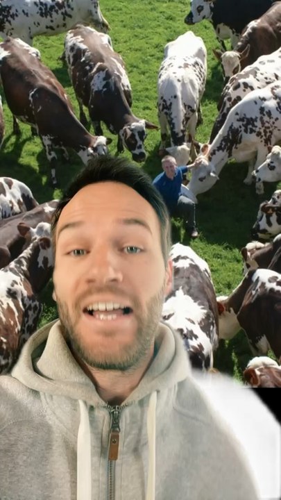 Les VACHES c’est l’avenir 
