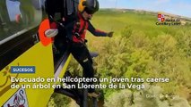 Evacuado en helicóptero al HUBU un joven tras caerse de un árbol en San Llorente de la Vega.